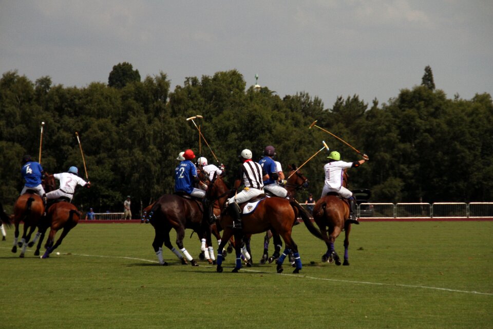 Sport competition equestrian