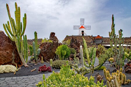 Spain africa attractions guatiza