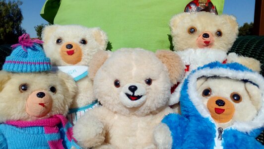 Bears group people