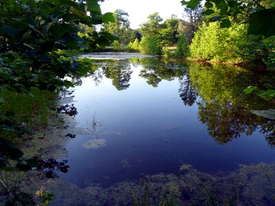 Water nature landscape photo