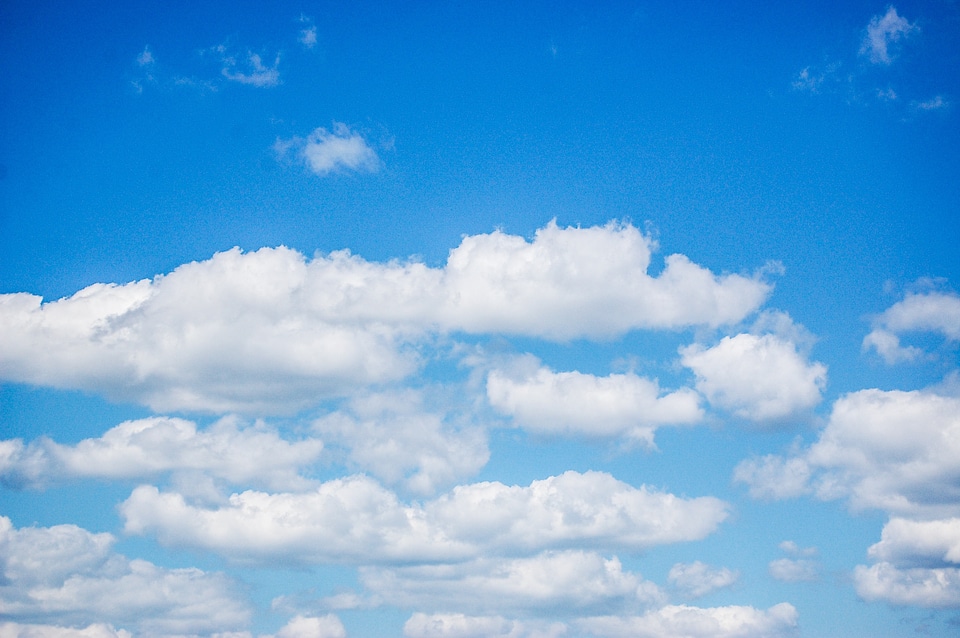 Nature the background blue