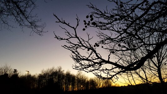 Landscape silhouette sky