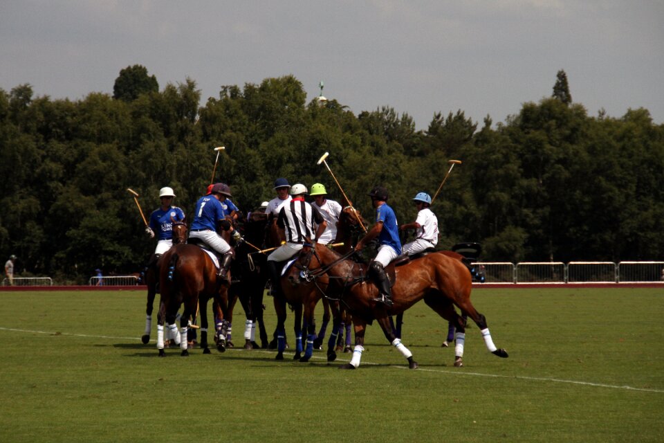 Sport competition equestrian