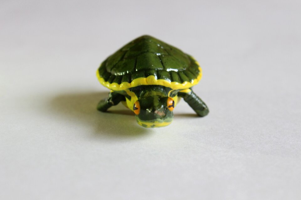 Turtle crafts decoration
