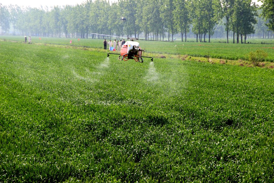 Wheat uav disease prevention