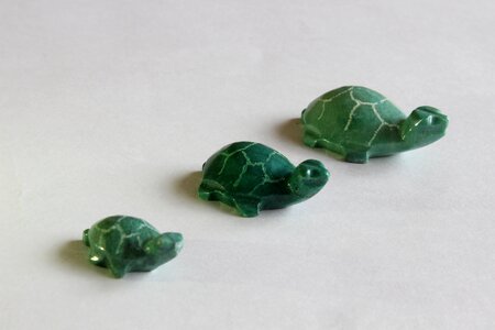 Crafts decoration turtles