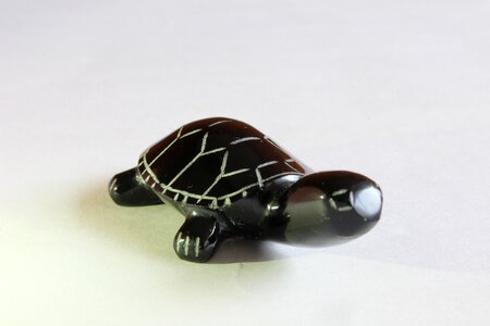 Turtle crafts decoration