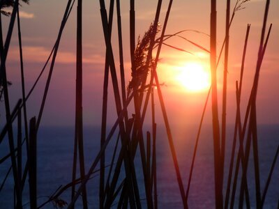 Heat wave sunrise summer