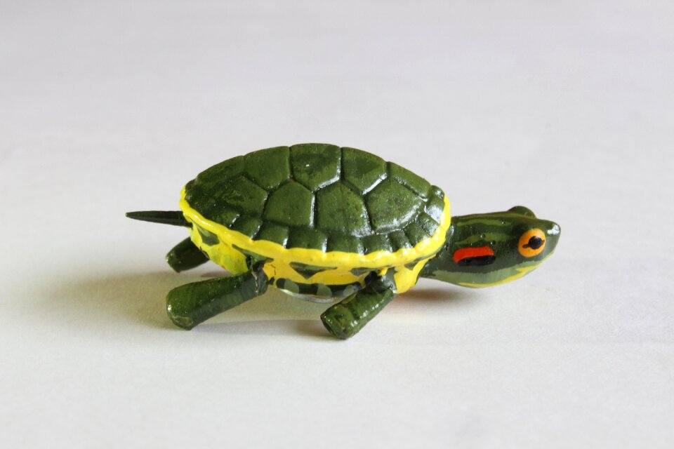 Turtle crafts decoration