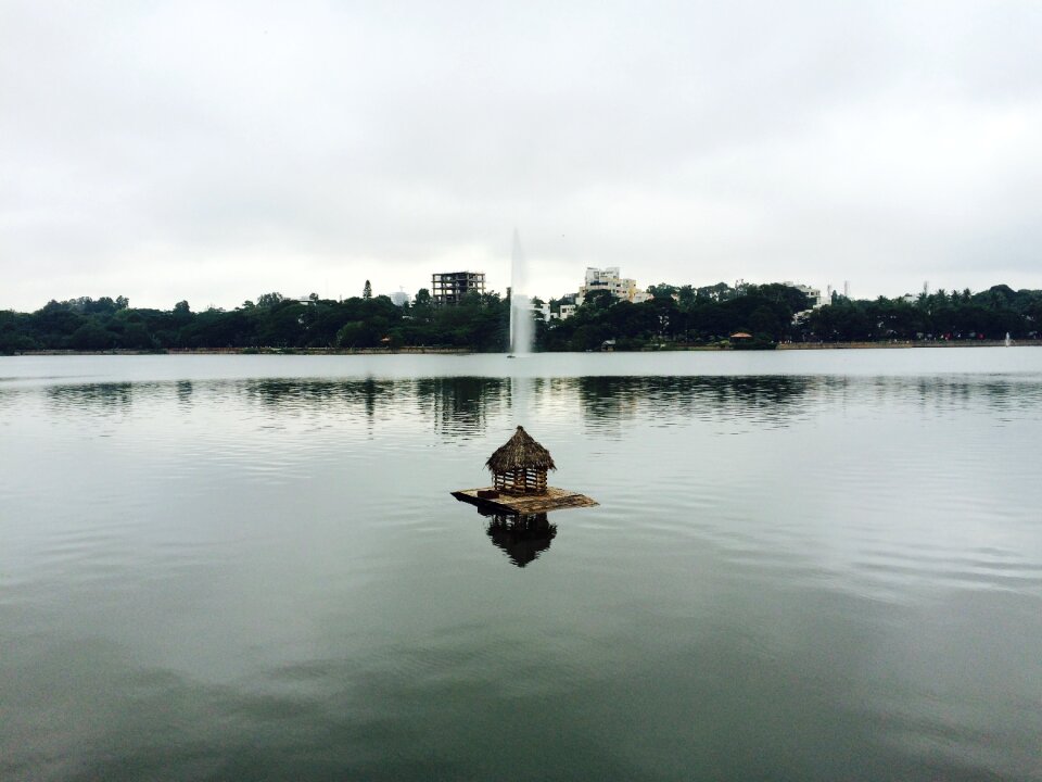 Duck house water india