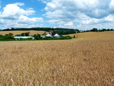 Agriculture field harvest photo