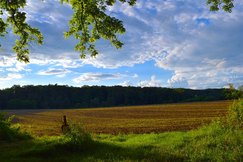 Beautiful landscape nature