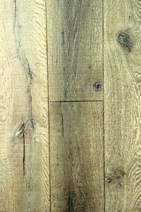Oak timber vintage photo
