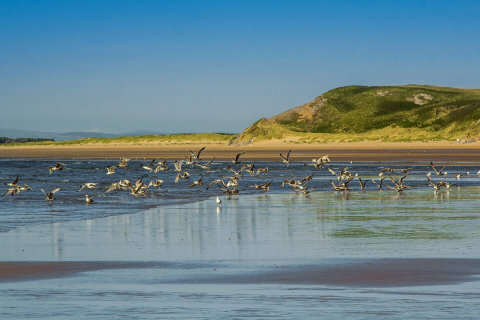 Low tide ocean england