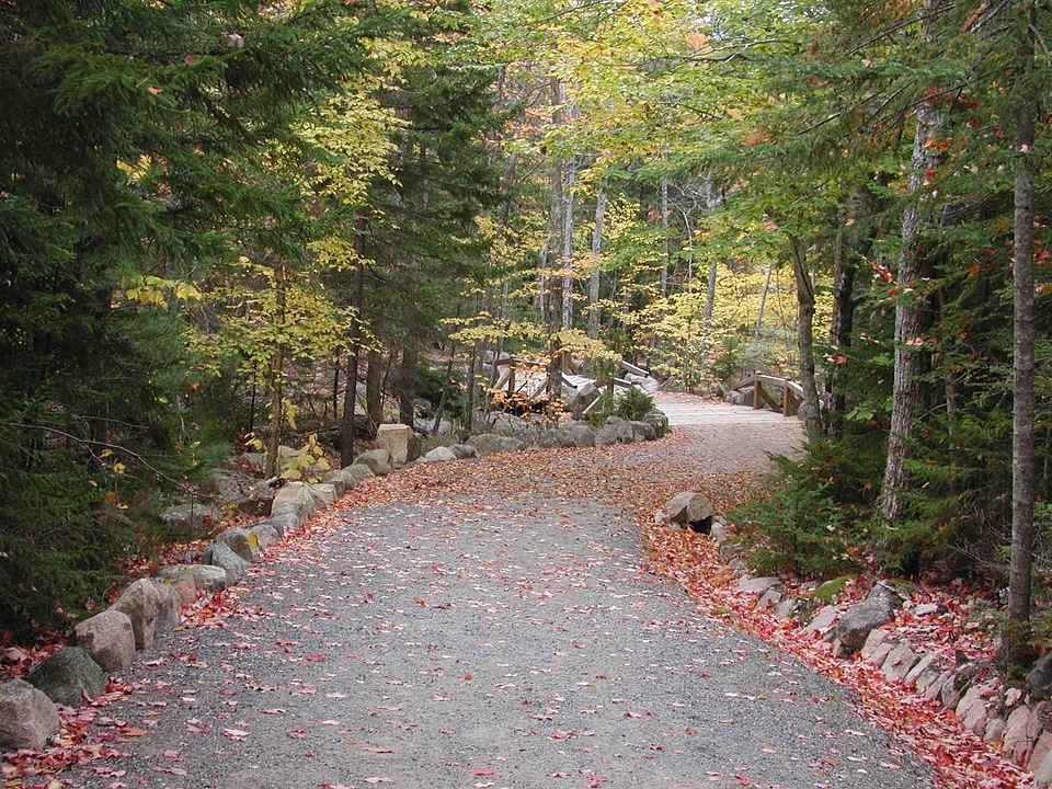 Acadia park national