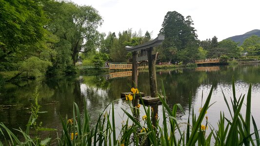 Travel japan tourism