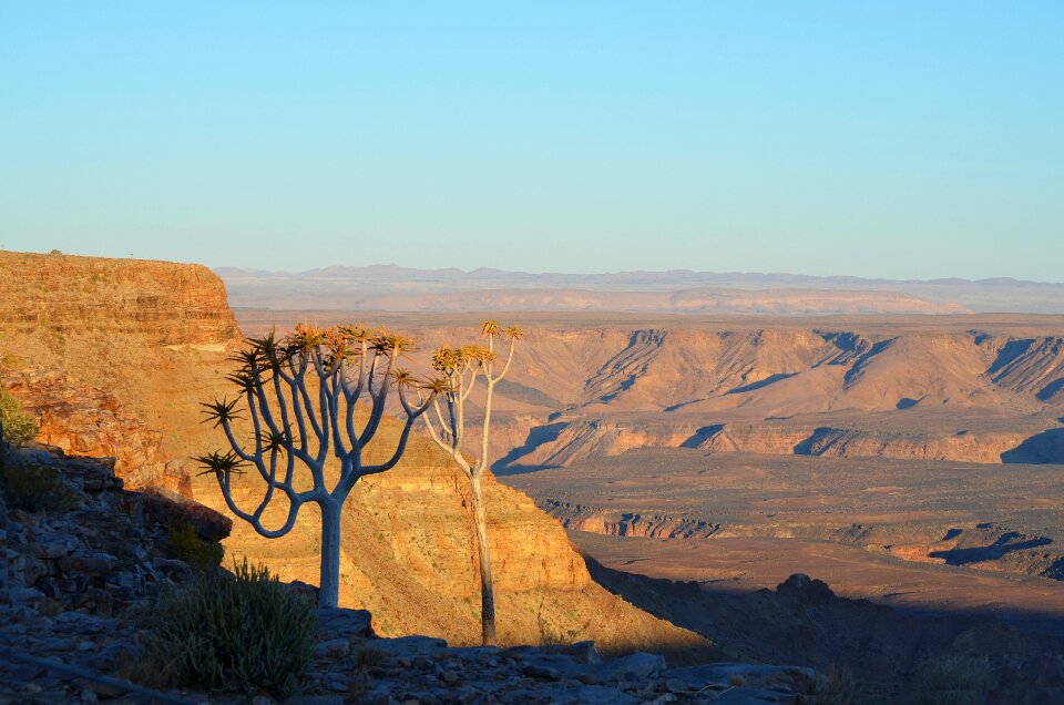 Landscape gorge panorama