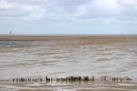 North sea wadden sea ebb photo