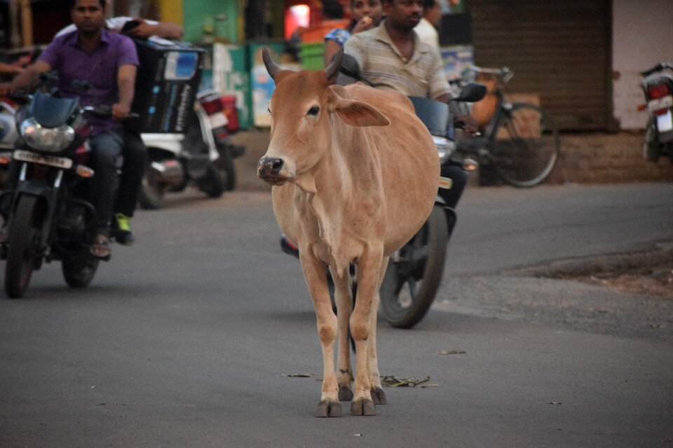 City traffic problem