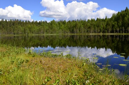 Mirroring nature sweden photo