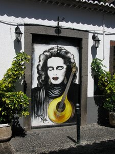Painting mandolin door photo