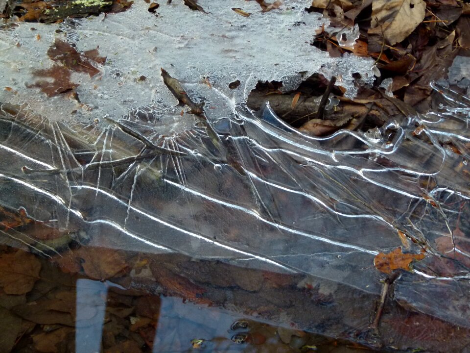 Water cold frost photo