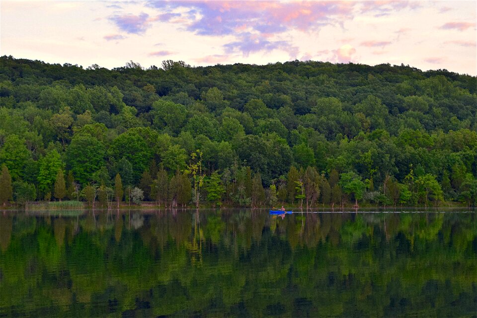 Park mountain forest