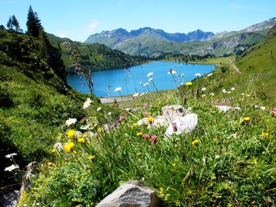 Switzerland mountain green photo