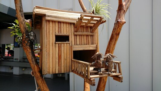 Bird house bamboo
