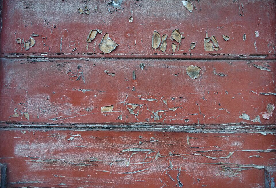 Texture timber pattern