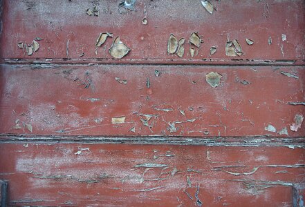 Texture timber pattern