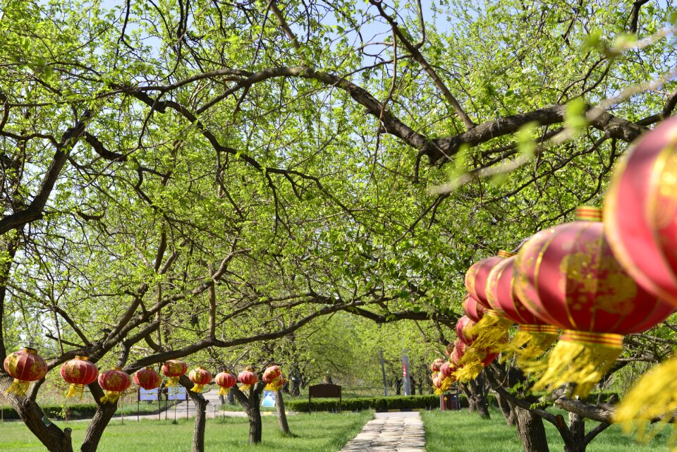 Spring green plants riddles show