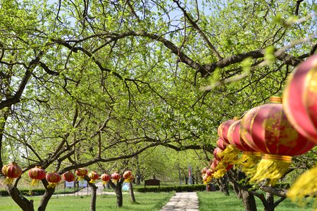 Spring green plants riddles show