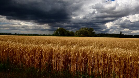The sky sky before