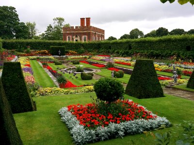 Summer plant gardening