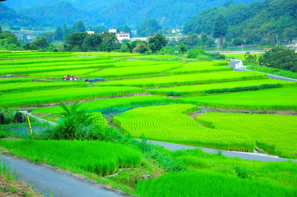 The countryside countryside japan