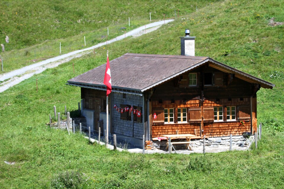 Alpine alpine walk nature