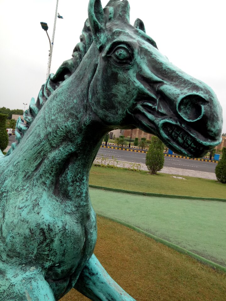 Beautiful horse amazing