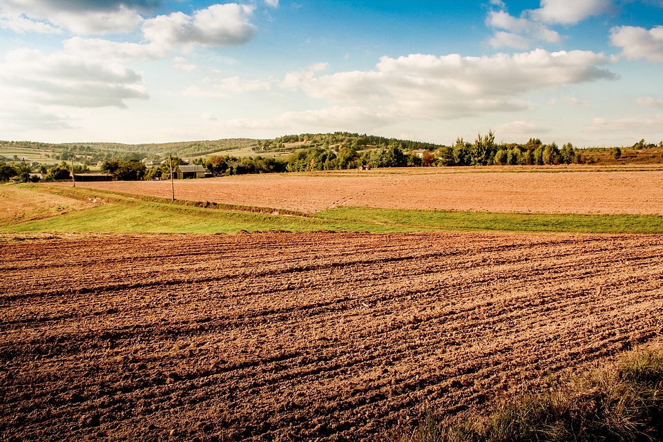The cultivation of agriculture corn