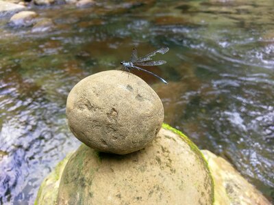 Stone circular running water