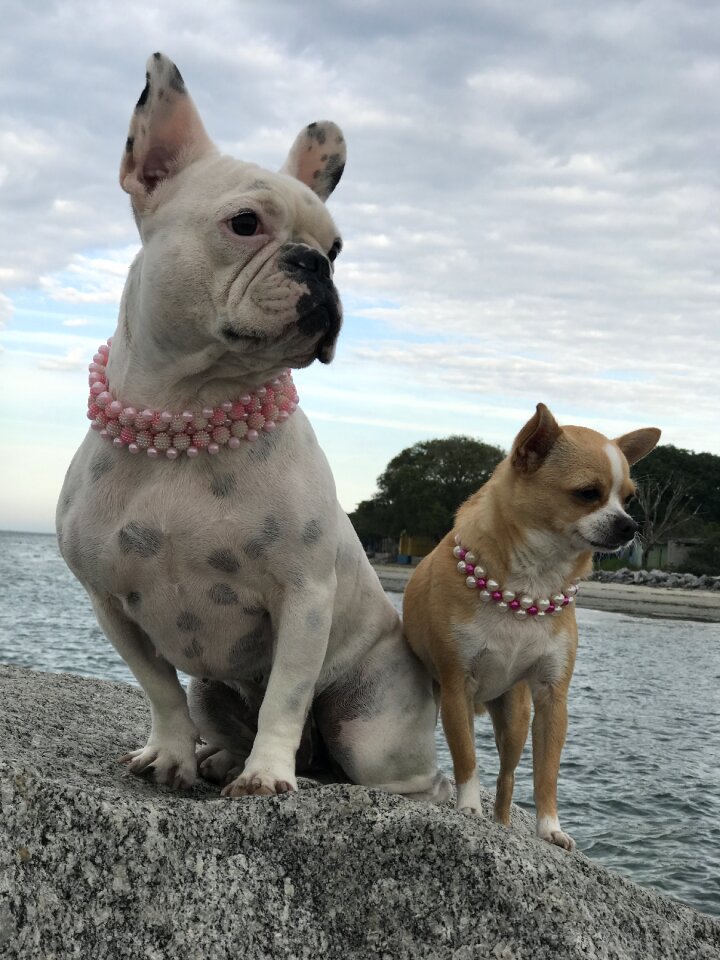 Mar sea beach