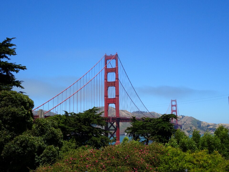 Bridge san francisco