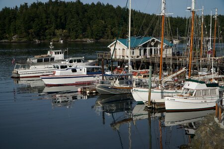 Dock washington state sea photo