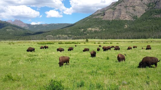 Yellowstone mountains