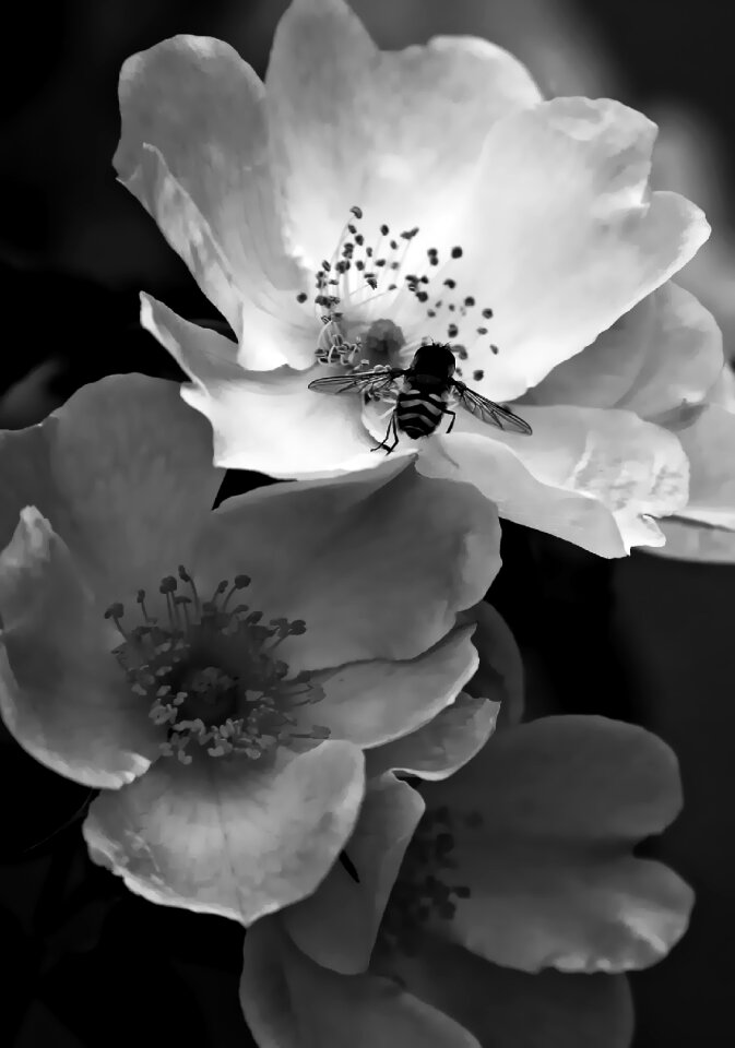 Nature exotic fineart
