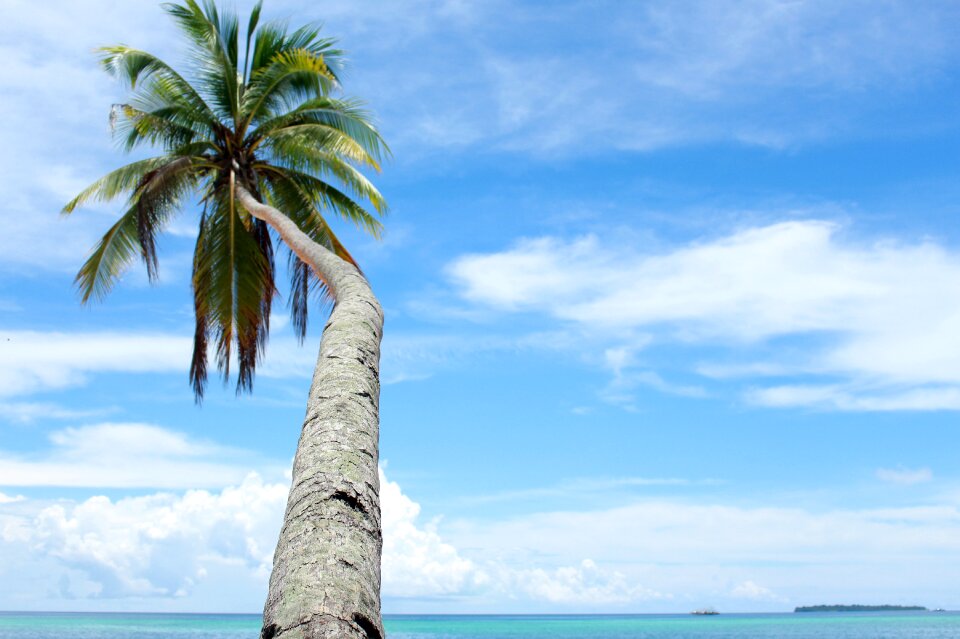 The sea view kei islands