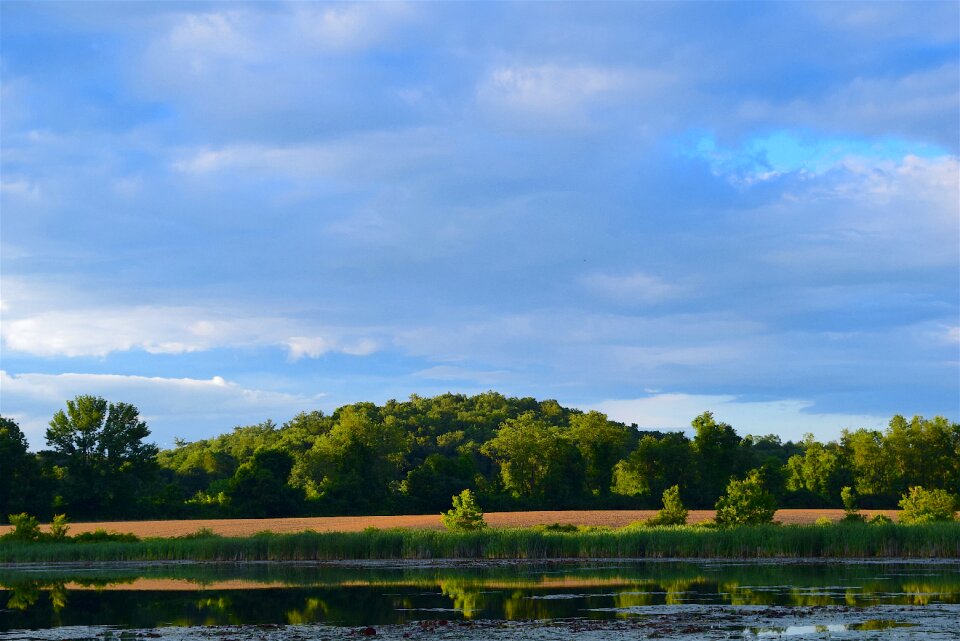 Nature landscape water