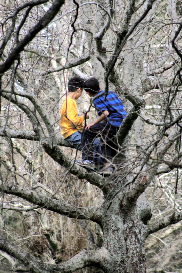 People outdoors nature