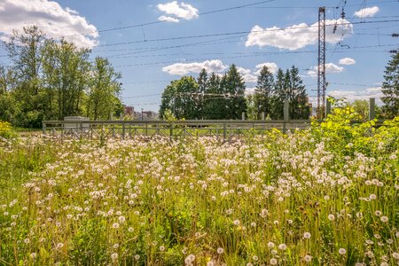 Wonderful mood russia