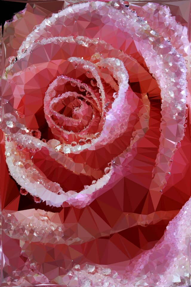 Triangle flower floral